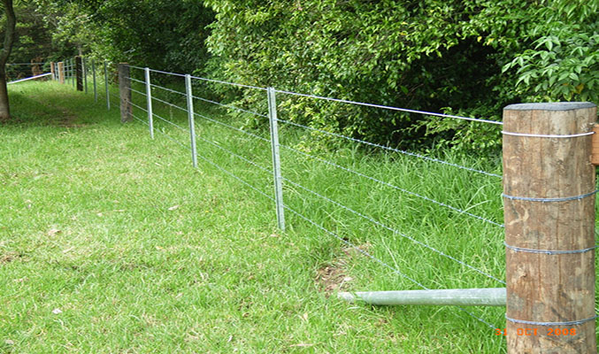 How to choose barbed wire fence