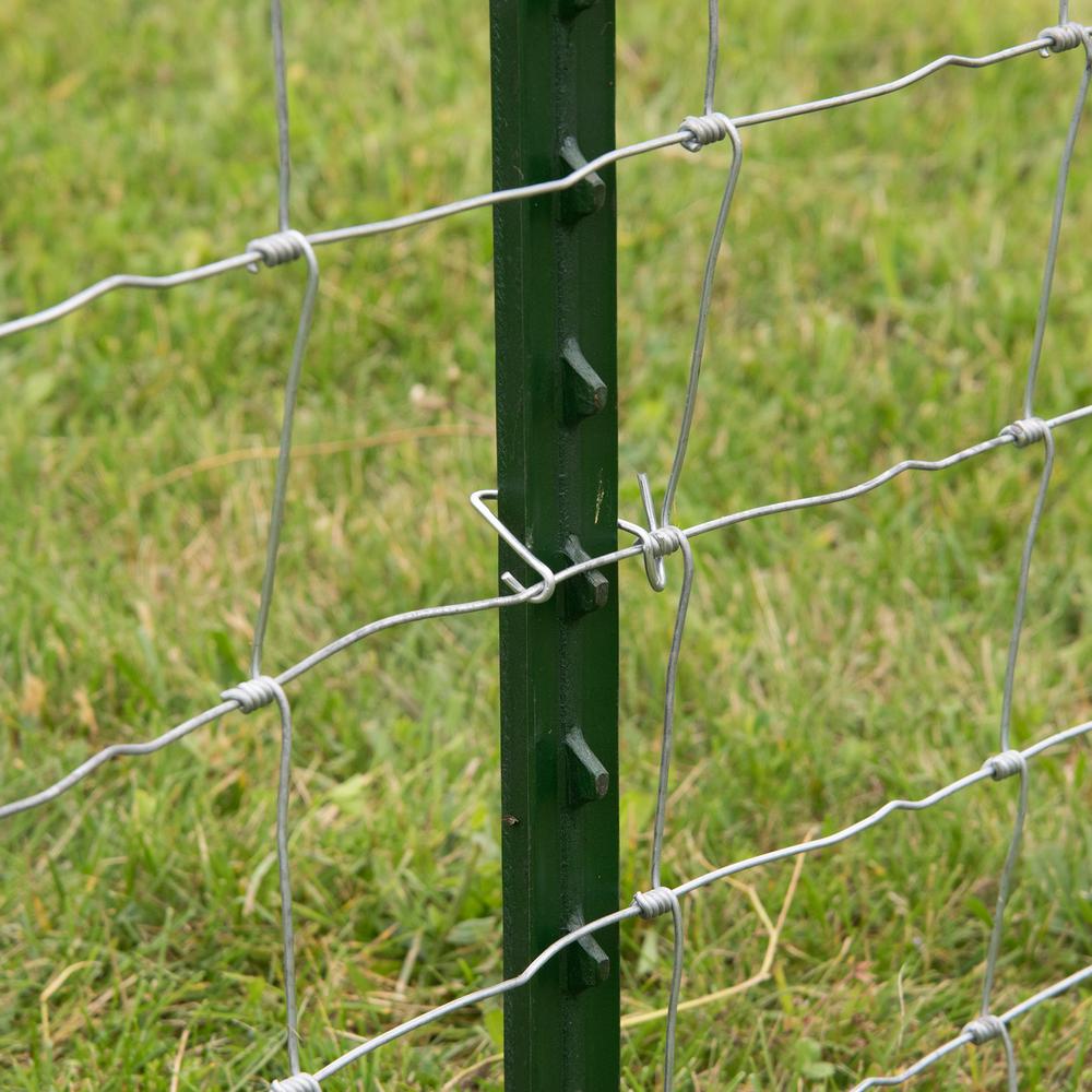 Heavy Duty Painted Steel Studded T Fence Post