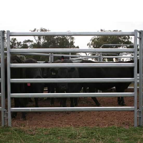 New Style Horse Corral Fence Panels